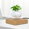 Load image into Gallery viewer, levitating plant 